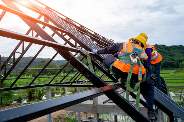 Best Residential Roofing Contractor  in Thief River Falls, MN