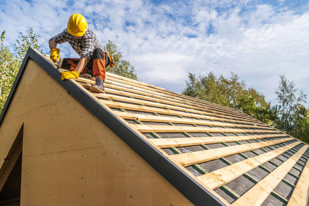 Best Storm Damage Roof Repair  in Thief River Falls, MN
